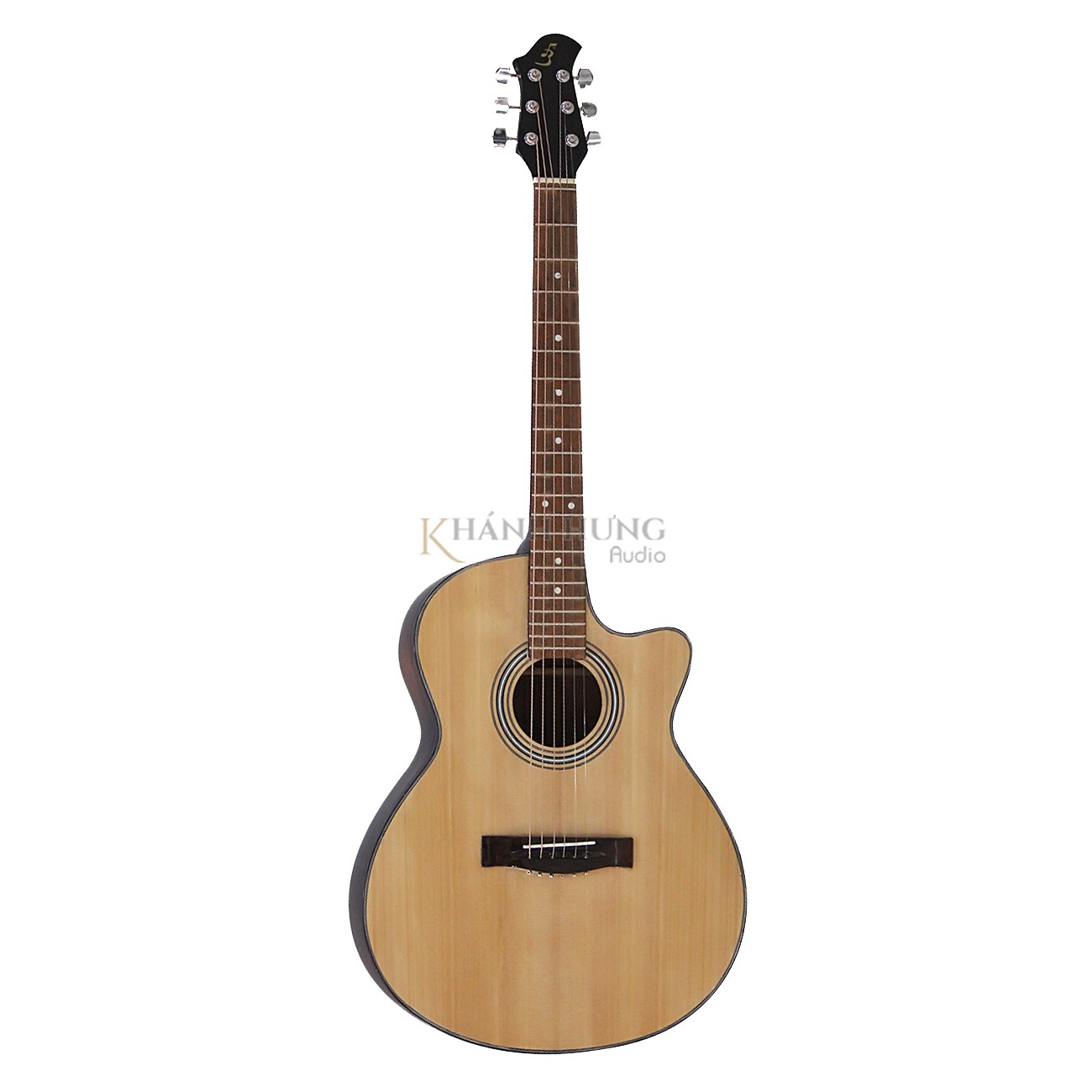 Đàn Guitar Acoustic D100