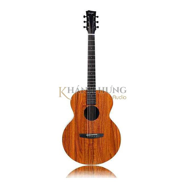 Guitar Acoustic Enya EA-X1